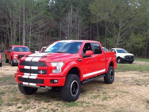 White stripes 2017 Ford F 150 Shelby 4&#215;4 for sale