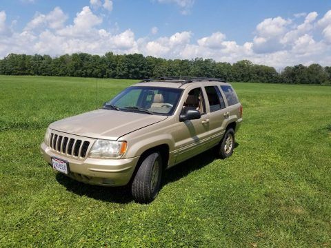 clean 1999 Jeep Grand Cherokee Limited Sport Utility 4&#215;4 for sale