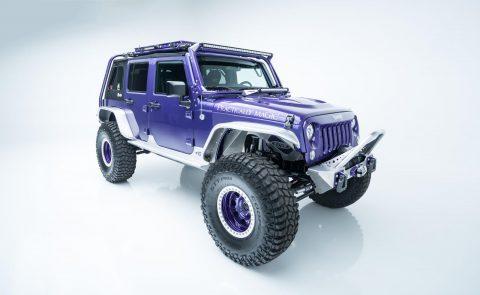 well modified 2017 Jeep Wrangler Rubicon 4&#215;4 for sale