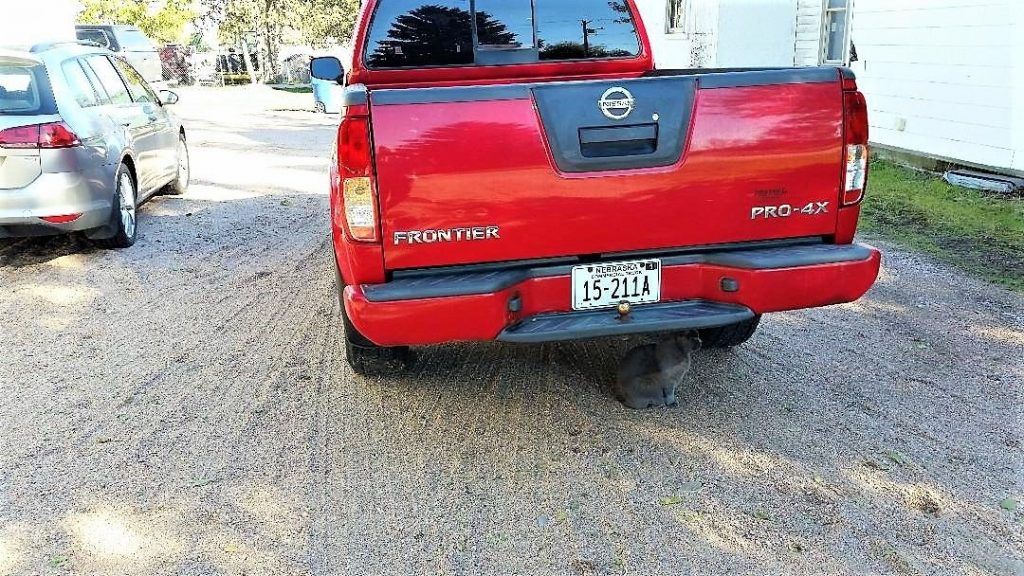 well serviced 2010 Nissan Frontier 4×4