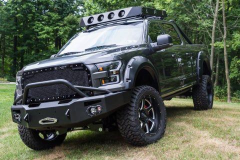 well upgraded 2016 Ford F 150 Crew Cab 4&#215;4 for sale