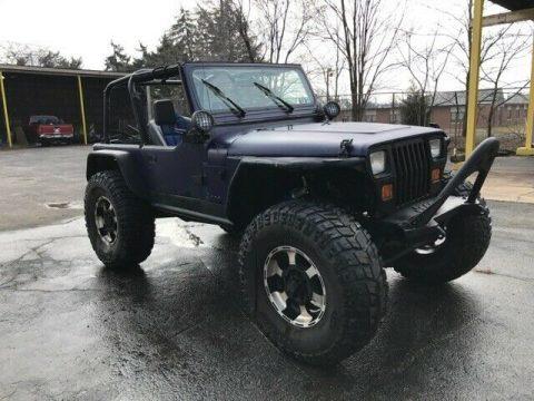 customized 1991 Jeep Wrangler 4&#215;4 for sale
