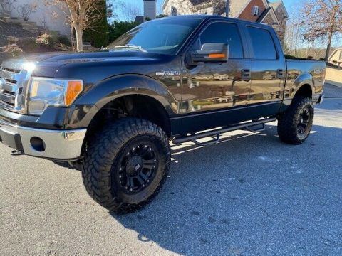 lifted 2010 Ford F 150 XLT 4&#215;4 for sale
