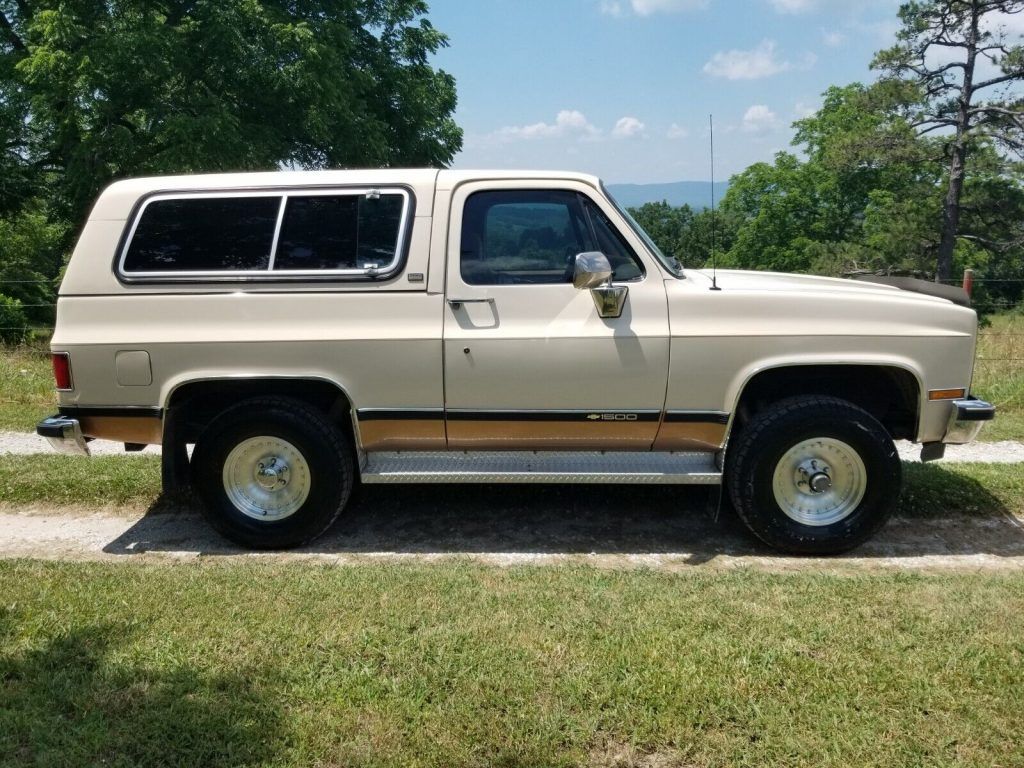 1991 Chevrolet Blazer K5 1500 4×4 with Convertible Top [well cared for]